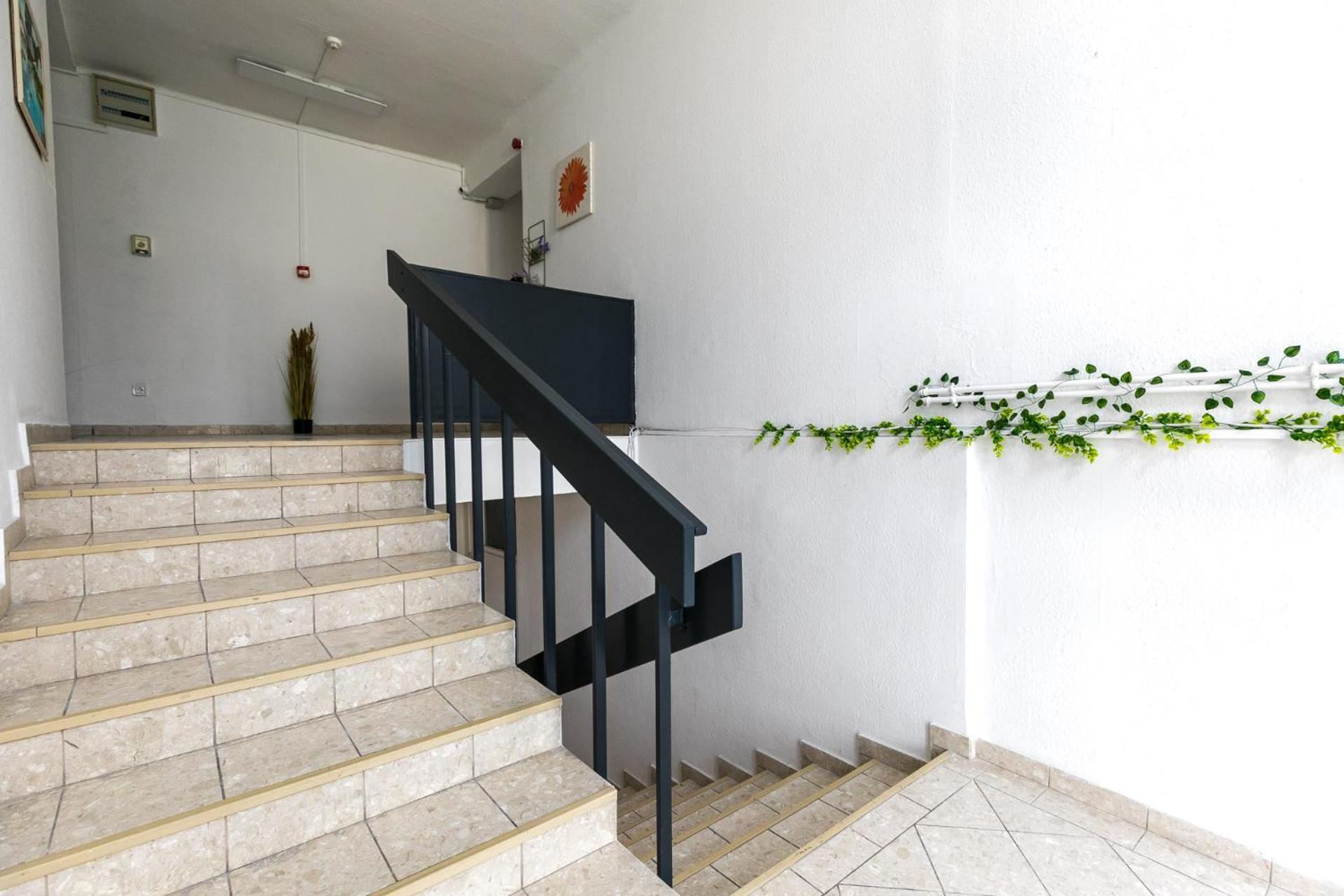 Apartament Mariposa *